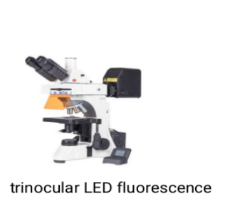 Microscopy lab