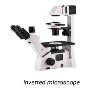Microscope detail