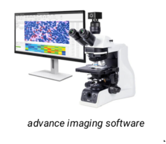 Microscope